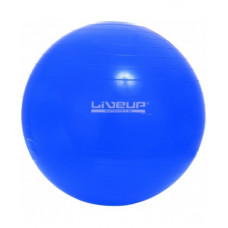 LIVEUP GYM BALL LS3221-65b