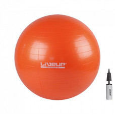 ANTI-BURST GYM BALL 65